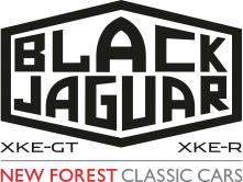 Black Jaguar Logo Model FINAL